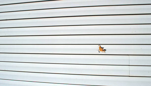Best Fascia and Soffit Installation  in Summit, NJ