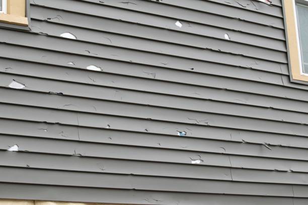 Best Residential Vinyl Siding Installation  in Summit, NJ