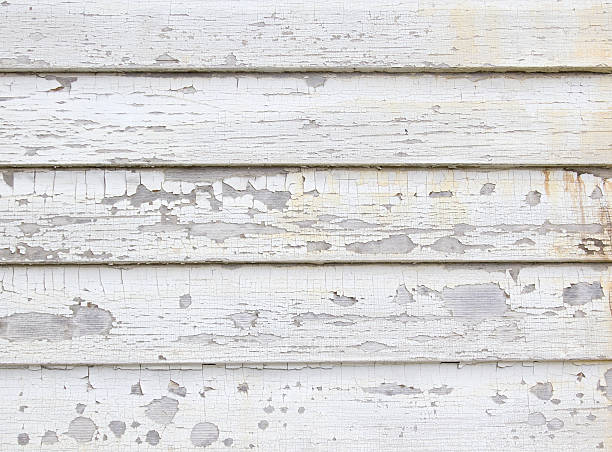 Best Siding Painting and Refinishing  in Summit, NJ